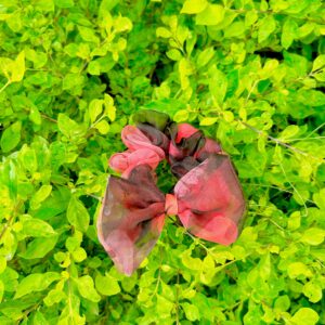 Handmade Red Black Mix Net Fabcric Hair Scrunchies , Hair Ties, Rubber Band For Womens And Girls